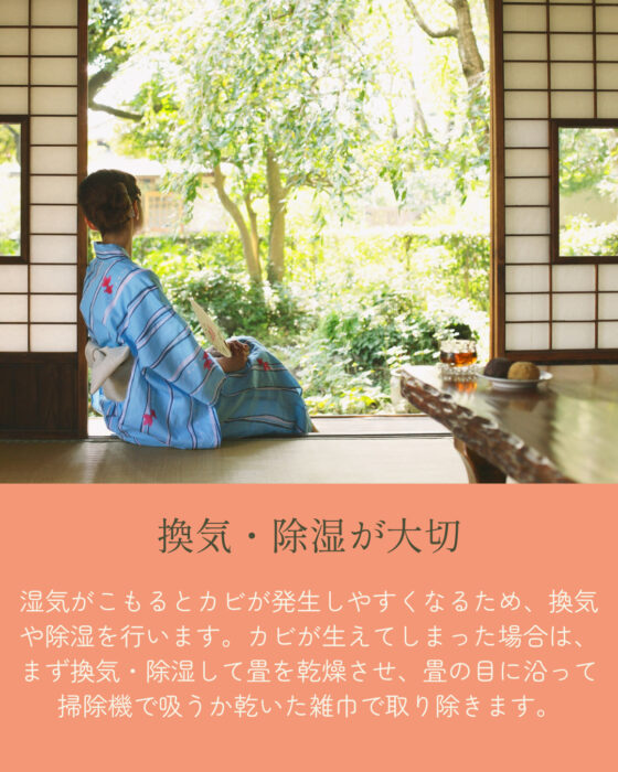 「換気・除湿が大切。湿気がこもるとカビが発生しやすくなるため、換気や除湿を行います。カビが生えてしまった場合は、まず換気・除湿して畳を乾燥させ、畳の目に沿って掃除機で吸うか乾いた雑巾で取り除きます。」障子窓の開いた和室を背に、縁側で涼む浴衣の女性。