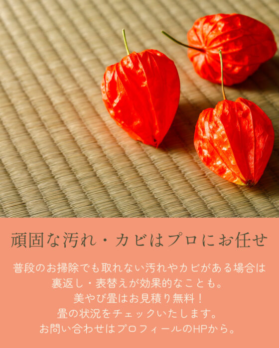 「頑固な汚れ・カビはプロにお任せ。普段のお掃除でも取れない汚れやカビがある場合は 裏返し・表替えが効果的なことも。 美やび畳はお見積り無料！ 畳の状況をチェックいたします。 お問い合わせはプロフィールのHPから。」